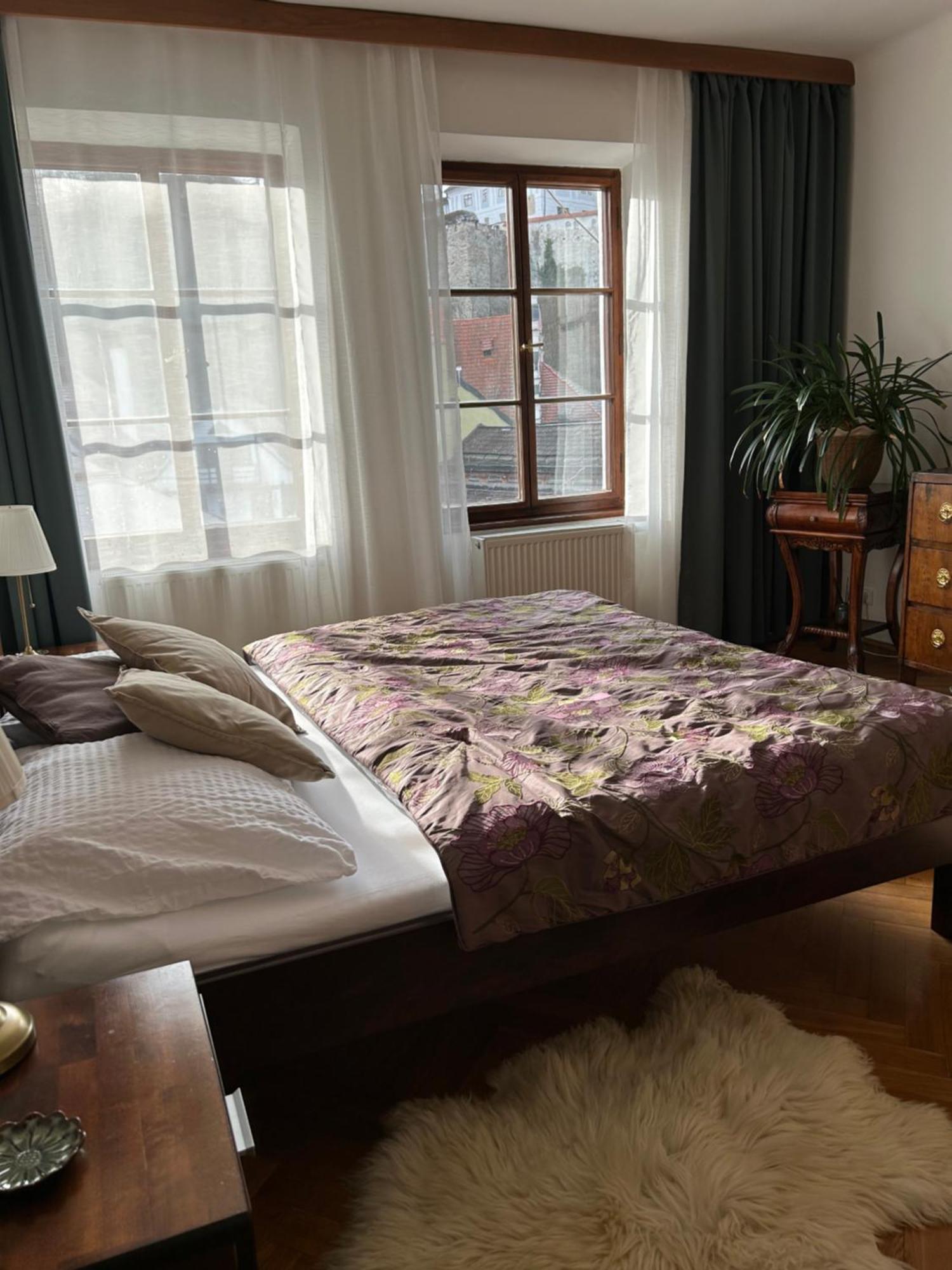 Apartments Dlouha 93 Cesky Krumlov Exterior photo
